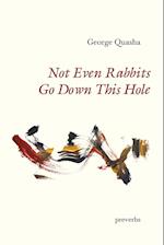 Not Even Rabbits Go Down This Hole: preverbs 