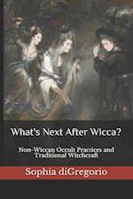 What's Next After Wicca?: Non-Wiccan Occult Practices and Traditional Witchcraft 