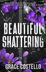 Beautiful Shattering 