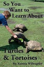 So You Want to Learn about Turtles & Tortoises