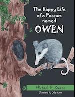 The Happy Life of a Possum Named Owen 