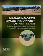 Managing open space in support of net zero
