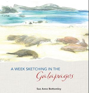 A Week Sketching in the Galapagos