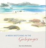 A Week Sketching in the Galapagos 