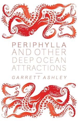 Periphylla, and Other Deep Ocean Attractions