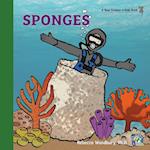 Sponges 