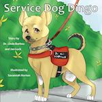 Service Dog Dingo
