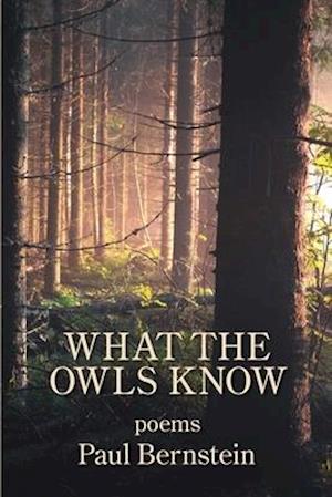 What the Owls Know