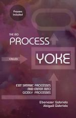 The Big Process Called Yoke