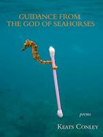 Guidance from the God of Seahorses