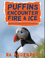 Puffins Encounter Fire and Ice