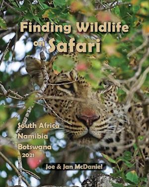 Finding Wildlife On Safari