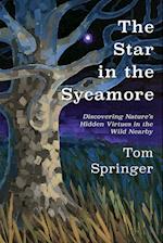 The Star in the Sycamore