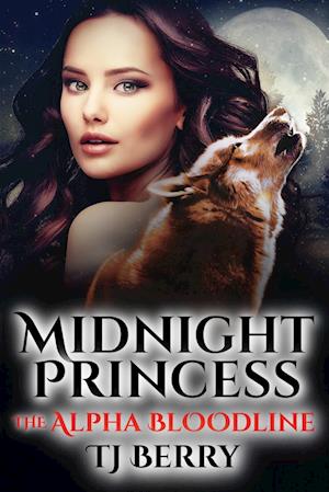 Midnight Princess