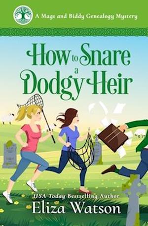 How to Snare a Dodgy Heir: A Cozy Mystery Set in Ireland