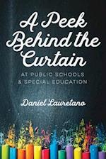 A Peek Behind the Curtain at Public Schools and Special Education 