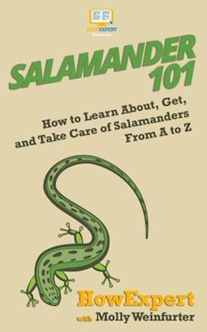 Salamander 101