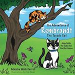 The Adventures of Rembrandt the Tuxedo Cat