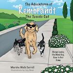 The Adventures of Rembrandt the Tuxedo Cat