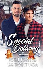 Special Delivery: A Wrecked Holiday Novel 