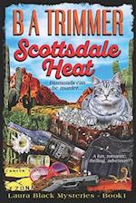 Scottsdale Heat: a fun, romantic, thrilling, adventure... 