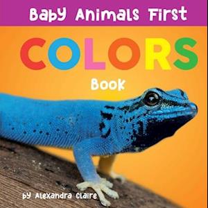 Baby Animals First Colors Book, 3