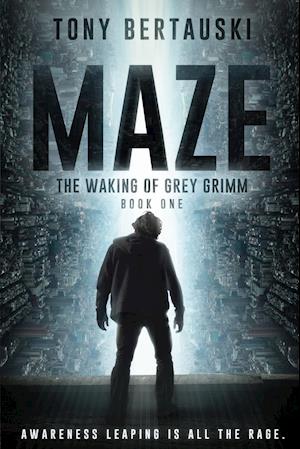 Maze