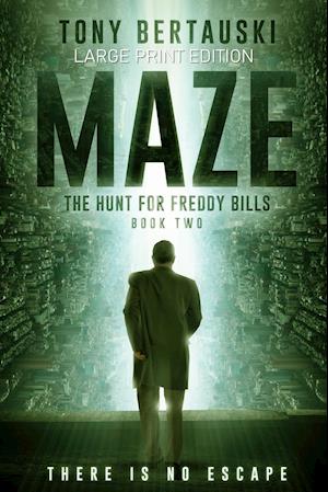 Maze (Large Print Edition)