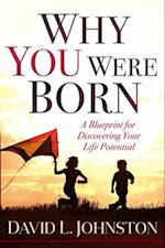 Why You Were Born