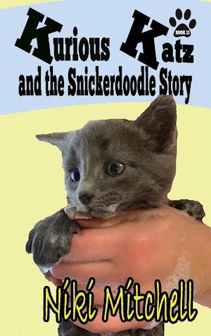 Kurious Katz and the Snickerdoodle Stor: LARGE PRINT