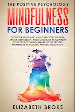 Mindfulness For Beginners