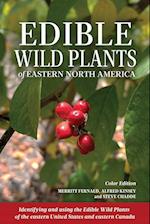 Edible Wild Plants of Eastern North America 