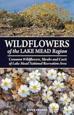 Wildflowers of the Lake Mead Region 