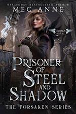 Prisoner of Steel and Shadow 