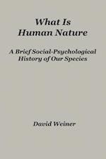 What Is Human Nature: A Brief Social-Psychological History of Our Species 