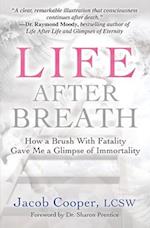 Life After Breath: How a Brush with Fatality Gave Me a Glimpse of Immortality 