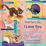 How Cats Say I Love You / Cómo Los Gatos Dicen Te Quiero