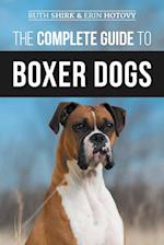 The Complete Guide to Boxer Dogs