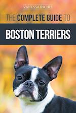 The Complete Guide to Boston Terriers