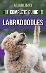 The Complete Guide to Labradoodles