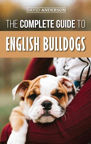 The Complete Guide to English Bulldogs