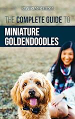 The Complete Guide to Miniature Goldendoodles