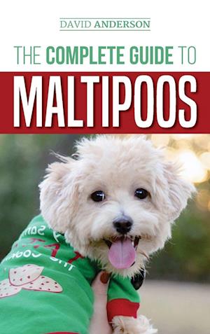 The Complete Guide to Maltipoos