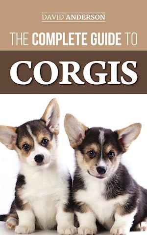 The Complete Guide to Corgis