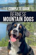 The Complete Guide to Bernese Mountain Dogs