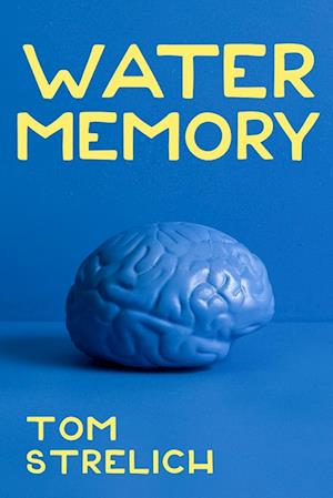 Water Memory: a novel