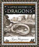 A Little History of Dragons