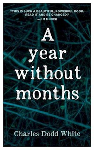 Year Without Months