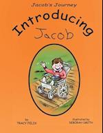 Jacob's Journey: Introducing Jacob 