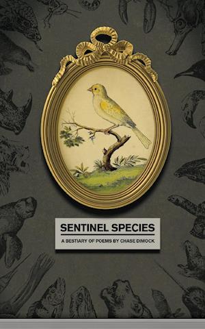 Sentinel Species